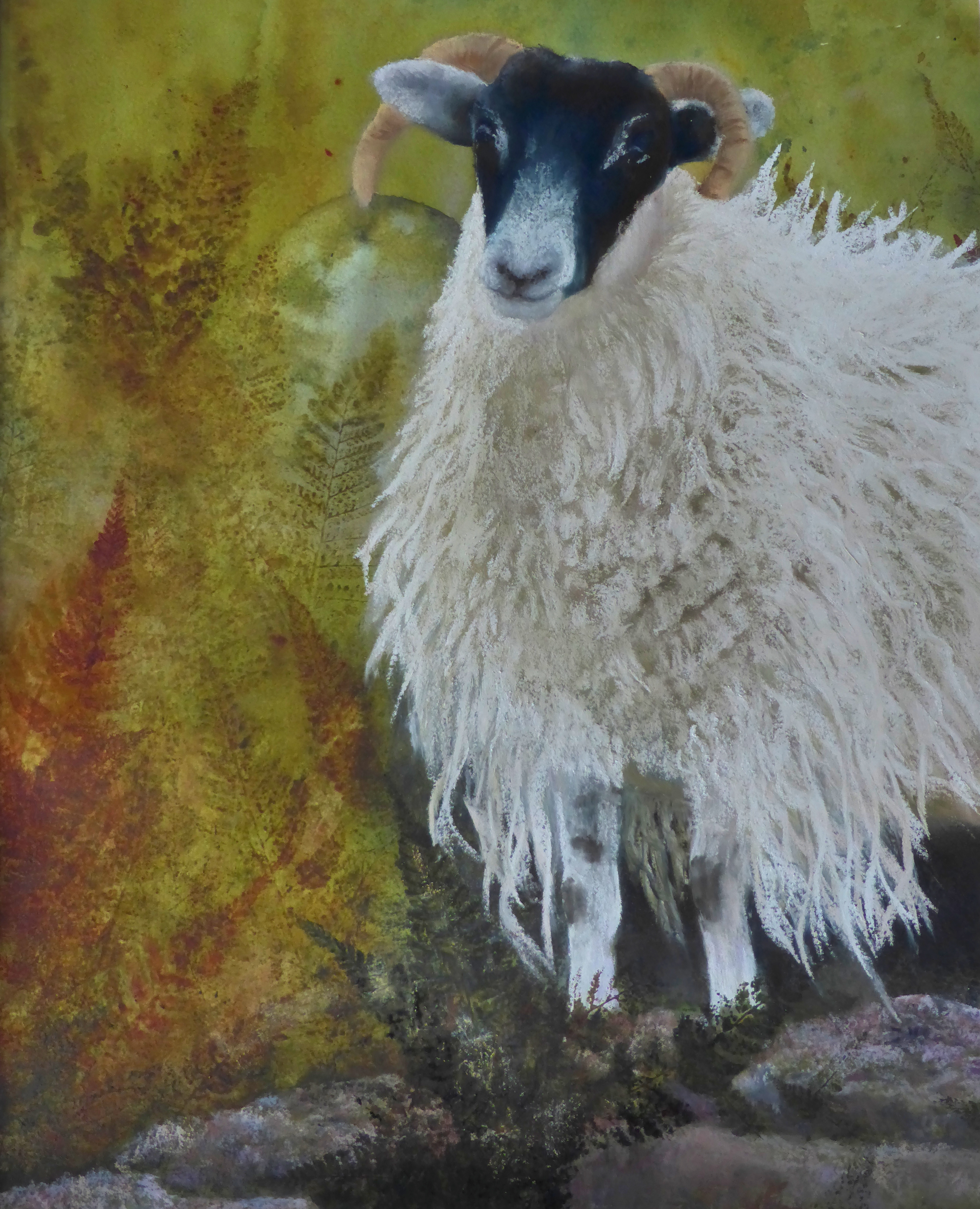 In need of a Bah-bers